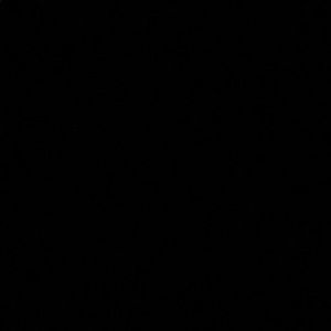 Meet your Posher, Katelyn